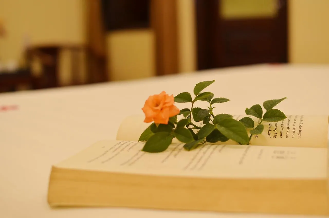 Panda Garden Homestay Hoi An